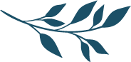 Illustration d’une branche avec feuilles