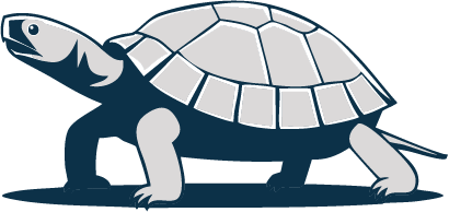 Illustration d’une tortue stylisée